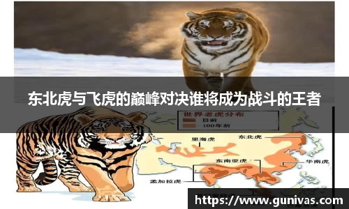 mk体育在线官网